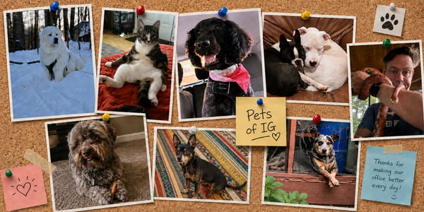 EmailHero-OfficePets