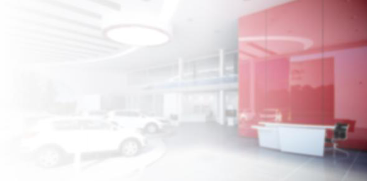 Restyler product portfolio manager for dealerships