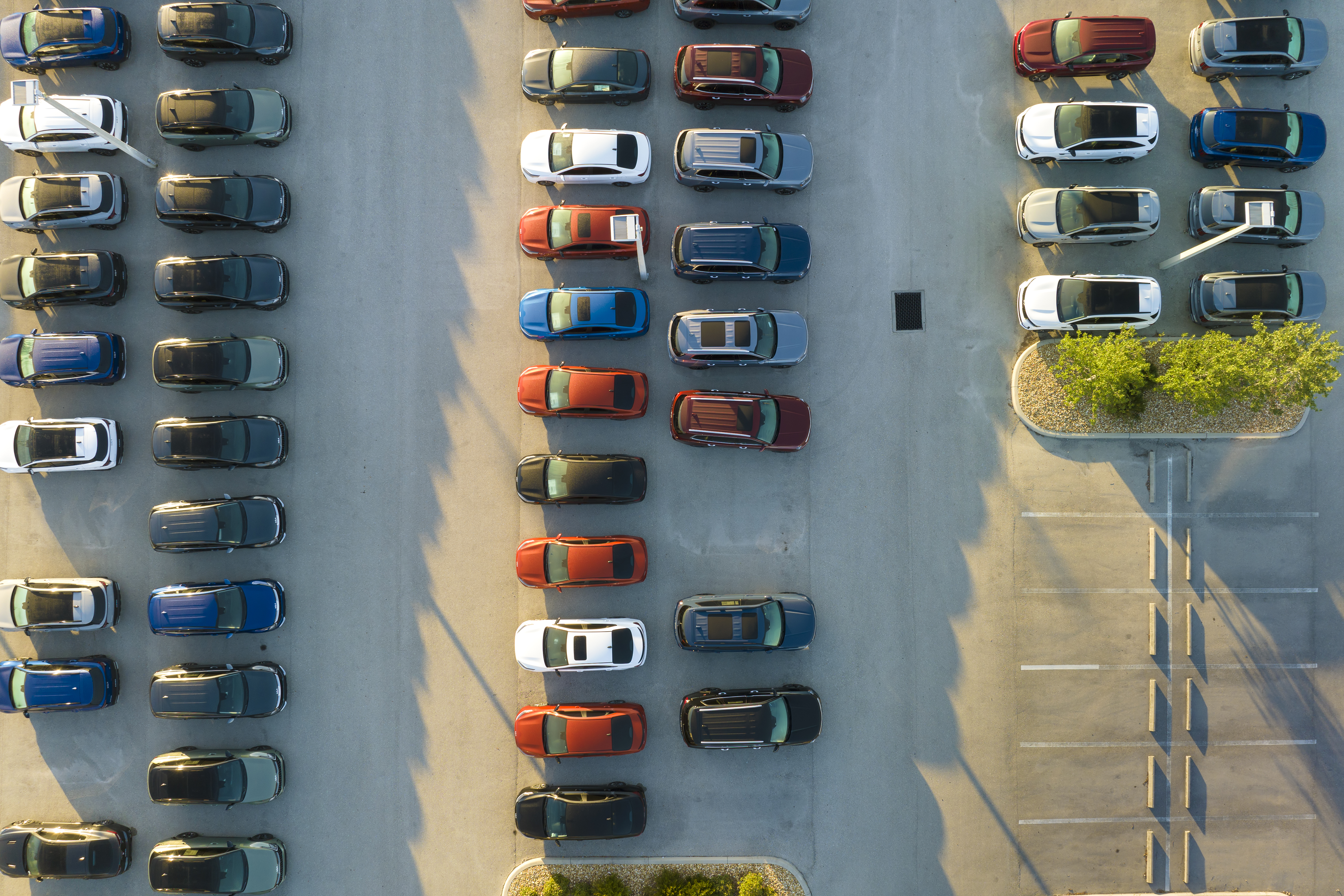 salesperson at car dealership